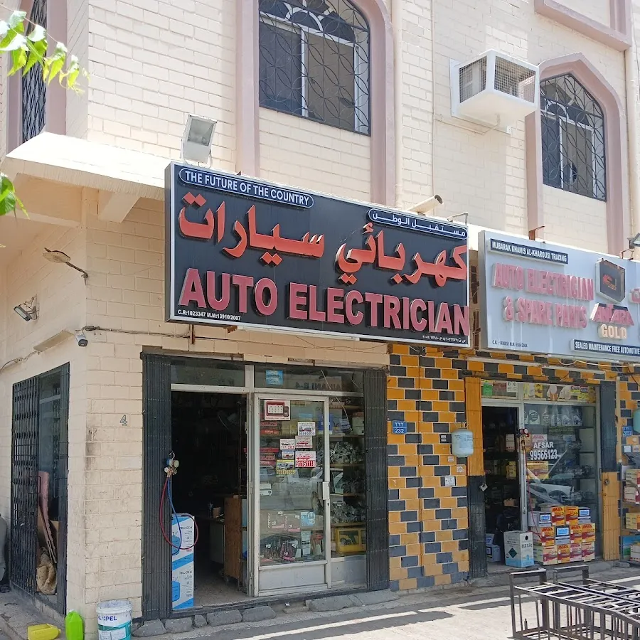 Auto Electrician كهربائي سيارات(The Future Of The Country)