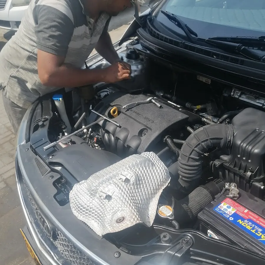 Meccanico (Car computer diagnose and repair recommending). فحص كمبيوتر للسيارات اينما كنت